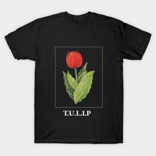 TULIP T-Shirt